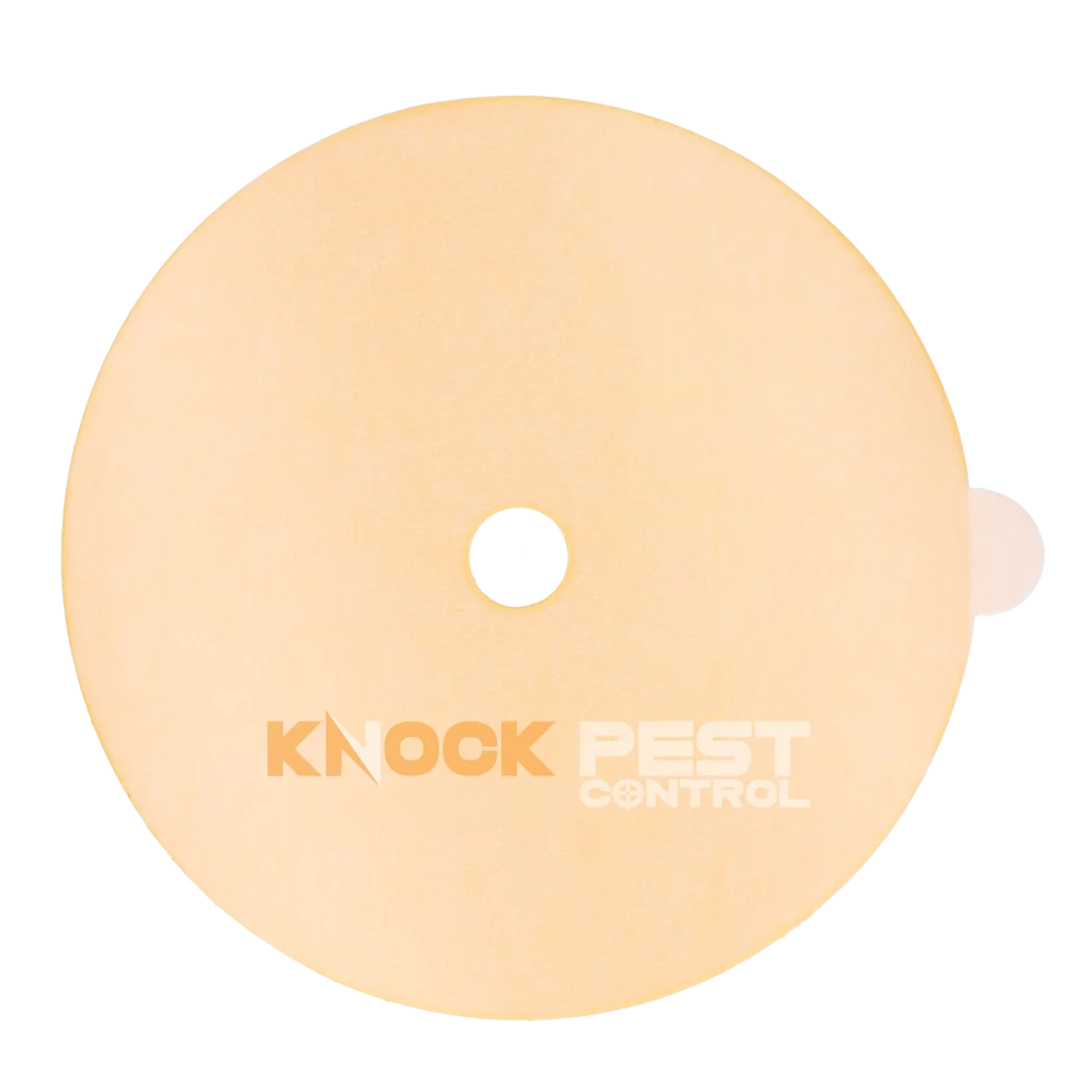 Klebefläche für Insektenfalle, giftfrei Ø 13,5 cm – Knock Pest – Bild 1