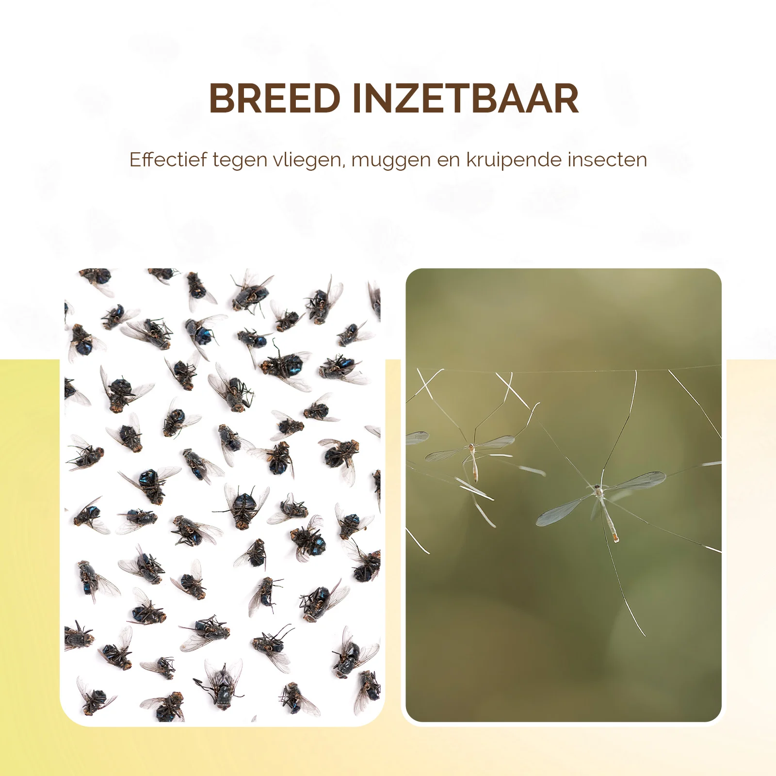 Klebefläche für Insektenfalle, giftfrei Ø 13,5 cm – Knock Pest – Bild 3