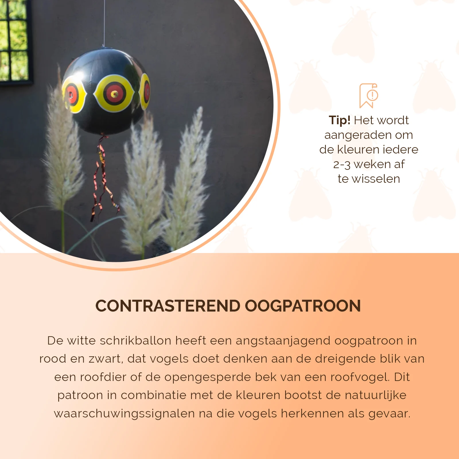 Schreckballon für Vögel mit Aufhängeschnur, Schwarz, Ø 40 cm – Knock Pest – Bild 5