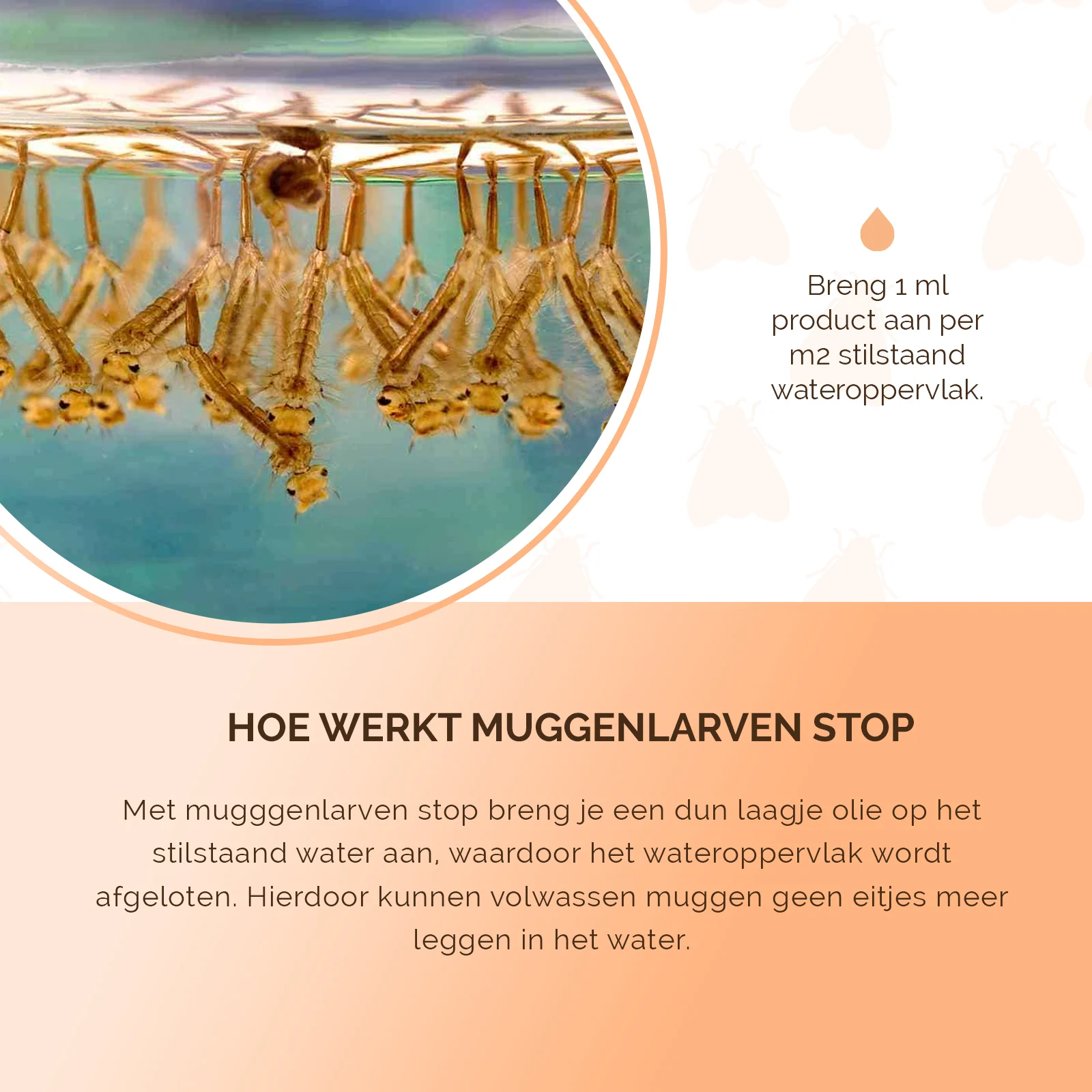 Mittel gegen Mückenlarven in stehendem Wasser, 50 ml – Knock Pest Muggenlarven Stop – Bild 5