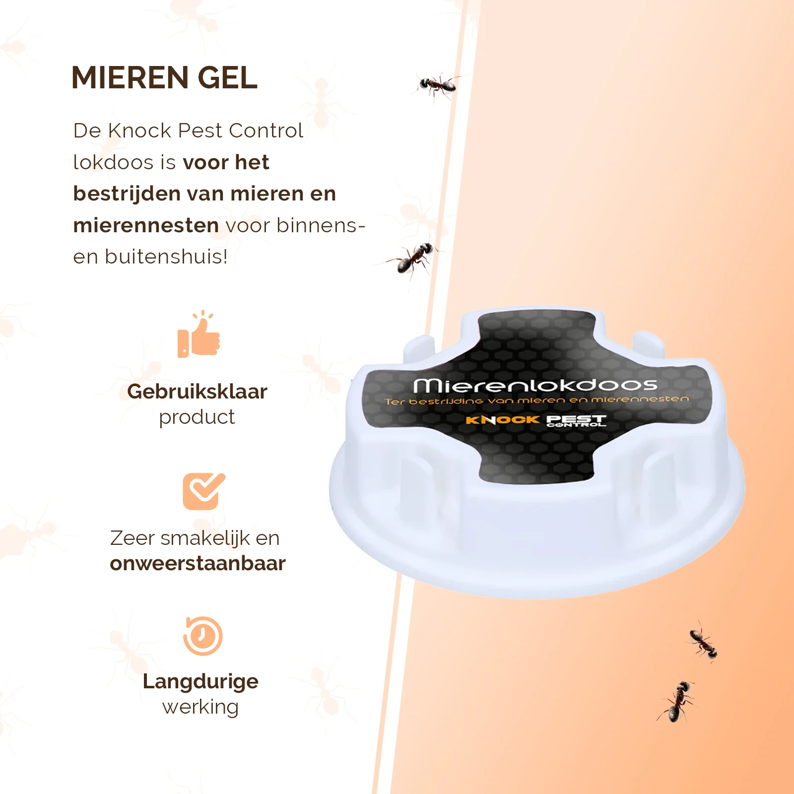 Ameisenköderbox für Schwarze Wegameisen, 2 Stück – Knock Pest – Bild 3
