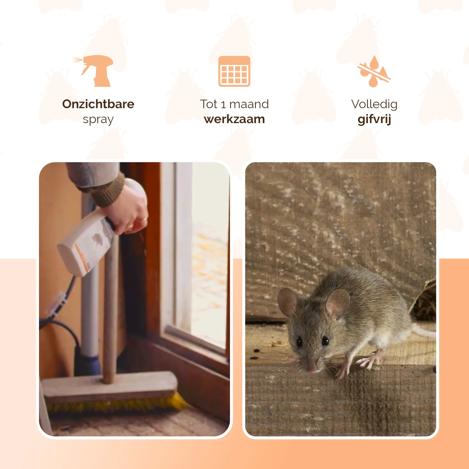 Mäuseabwehrspray für Innenräume, 250 ml – Knock Pest BlijfWeg Muis – Bild 3