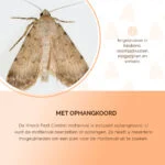 Lebensmittelmottenfalle mit Pheromon und Aufhängeschnur, Ø 16,5 cm x 22,5 cm – Knock Pest – Bild 6