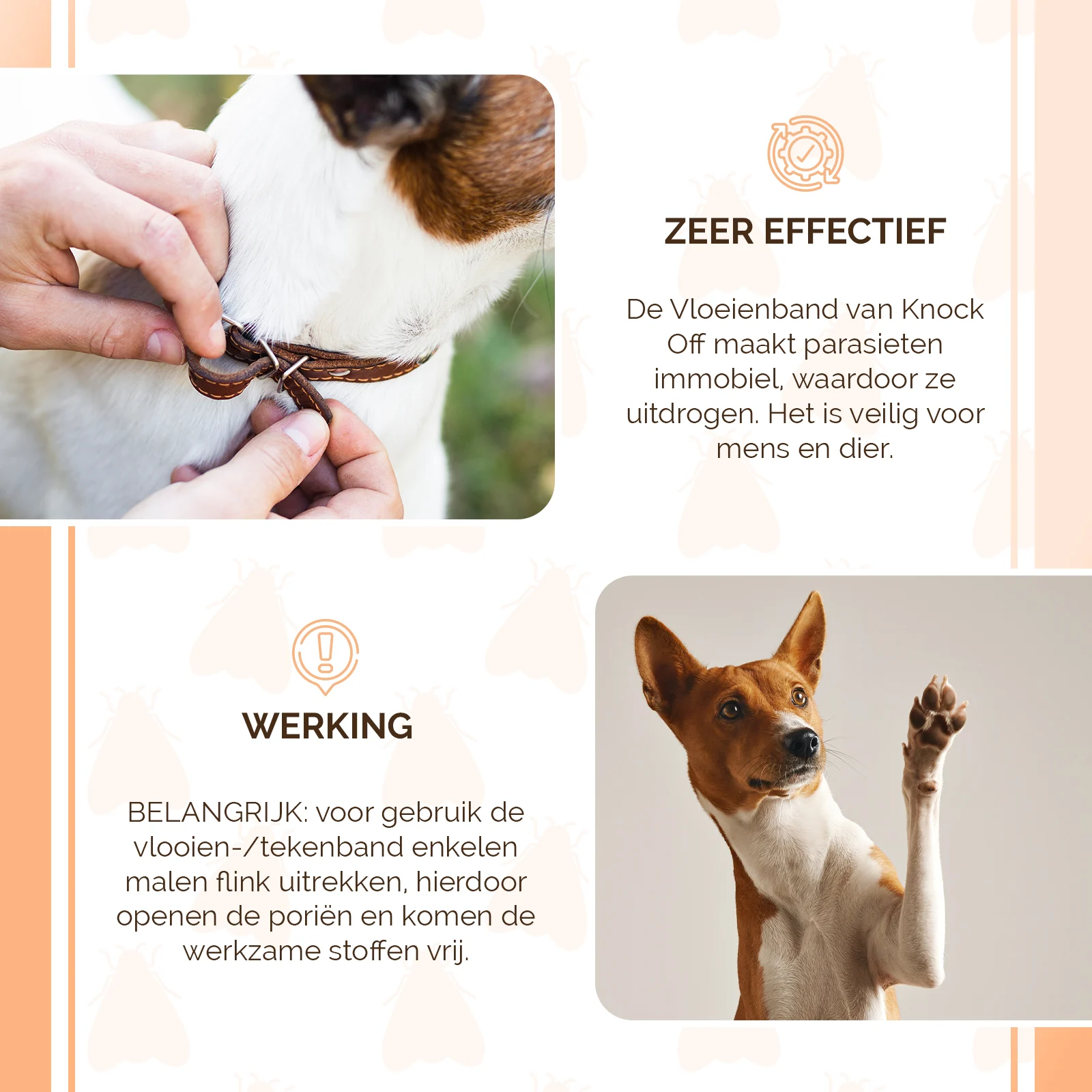 Zeckenhalsband für Hunde gegen Flöhe, 33 cm, Niederländisch und Französisch – Knock Pest – Bild 4