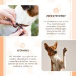 Zeckenhalsband für Hunde gegen Flöhe, 33 cm, Deutsch und Englisch – Knock Pest – Bild 4