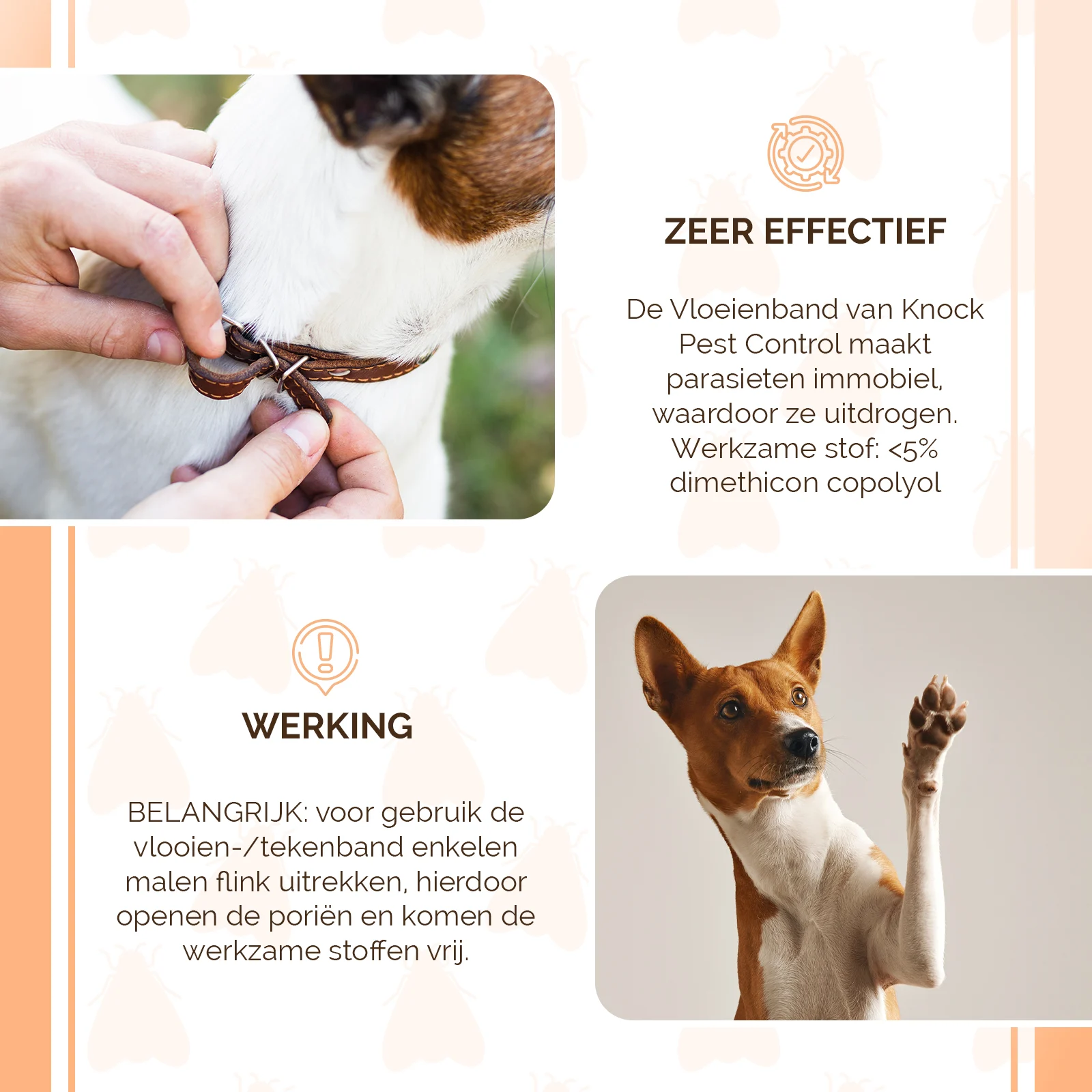 Zeckenhalsband für Hunde gegen Flöhe, 33 cm, Deutsch und Englisch – Knock Pest – Bild 4