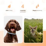 Zeckenhalsband für Hunde gegen Flöhe, 59 cm, Deutsch und Englisch – Knock Pest – Bild 3