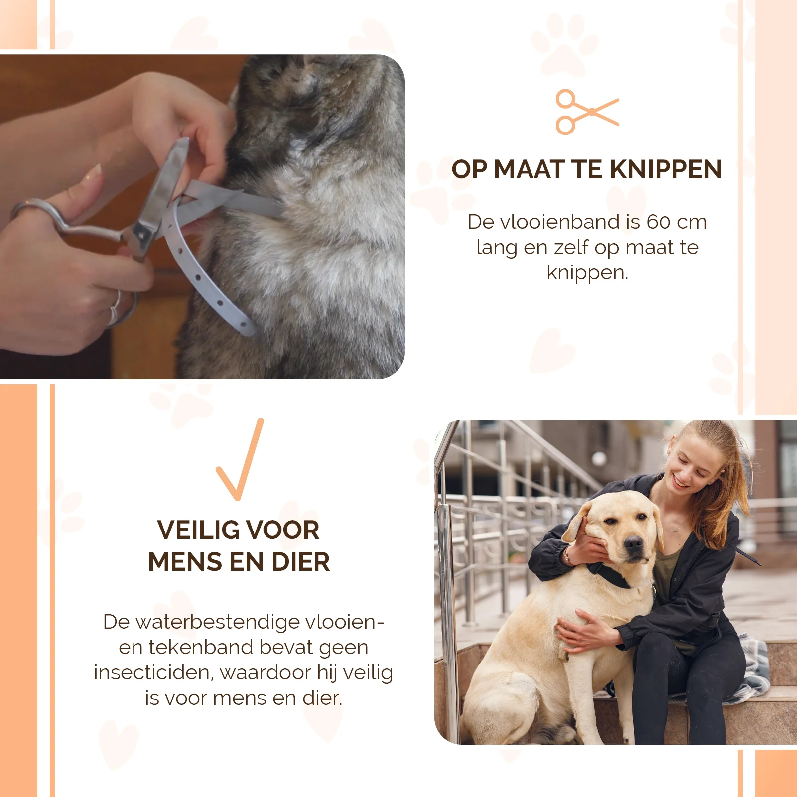 Zeckenhalsband für Hunde gegen Flöhe, 59 cm, Deutsch und Englisch – Knock Pest – Bild 4