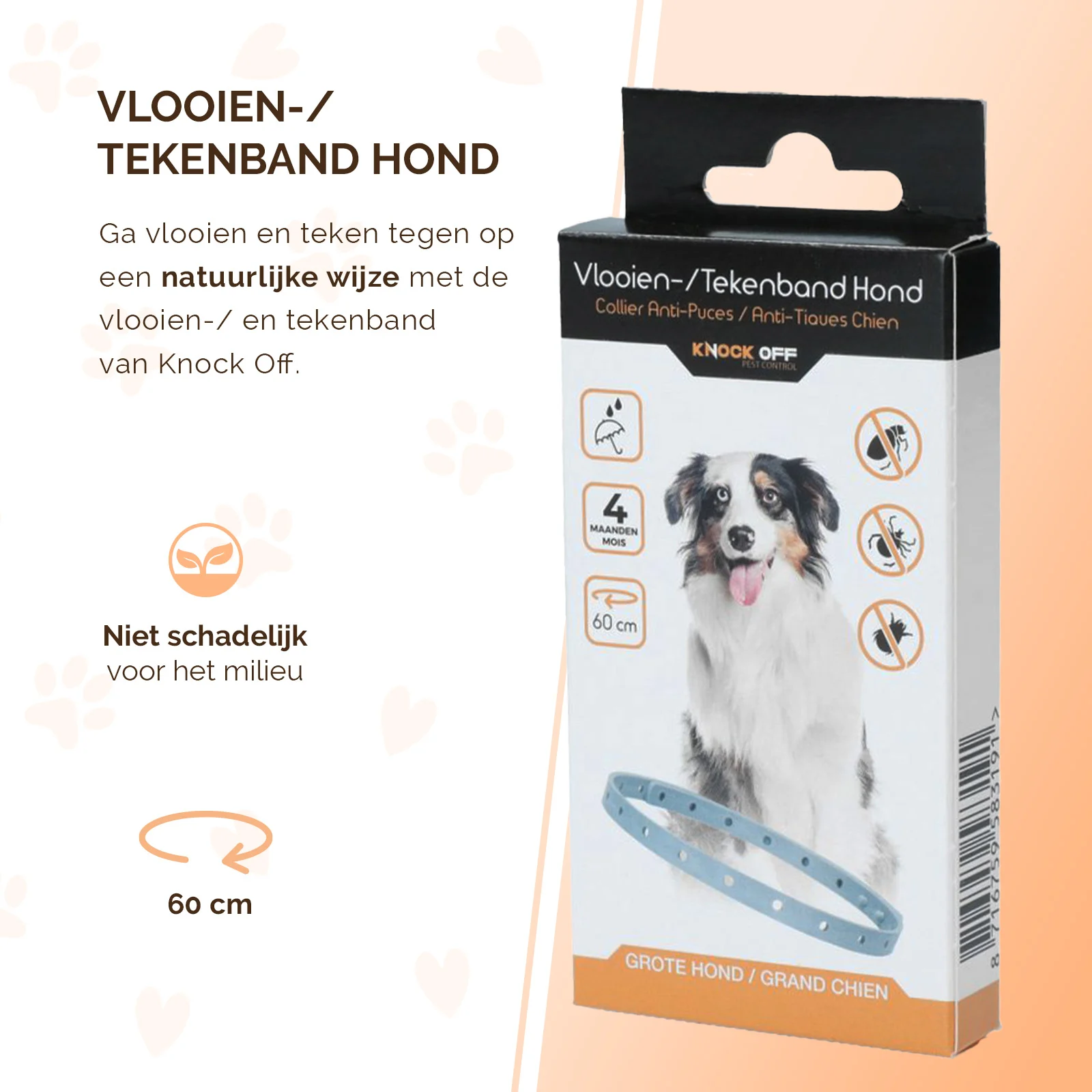 Zeckenhalsband für Hunde gegen Flöhe, 59 cm, Niederländisch und Französisch – Knock Pest – Bild 2