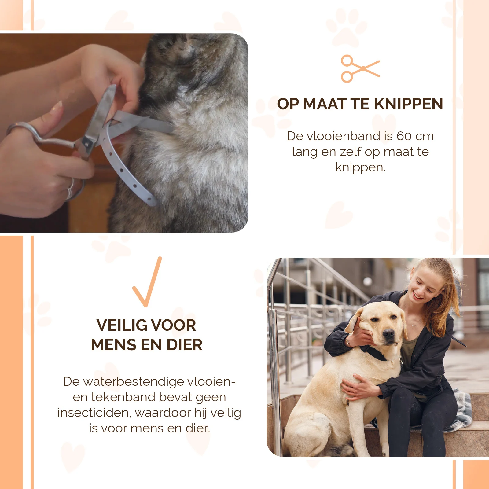 Zeckenhalsband für Hunde gegen Flöhe, 59 cm, Niederländisch und Französisch – Knock Pest – Bild 4