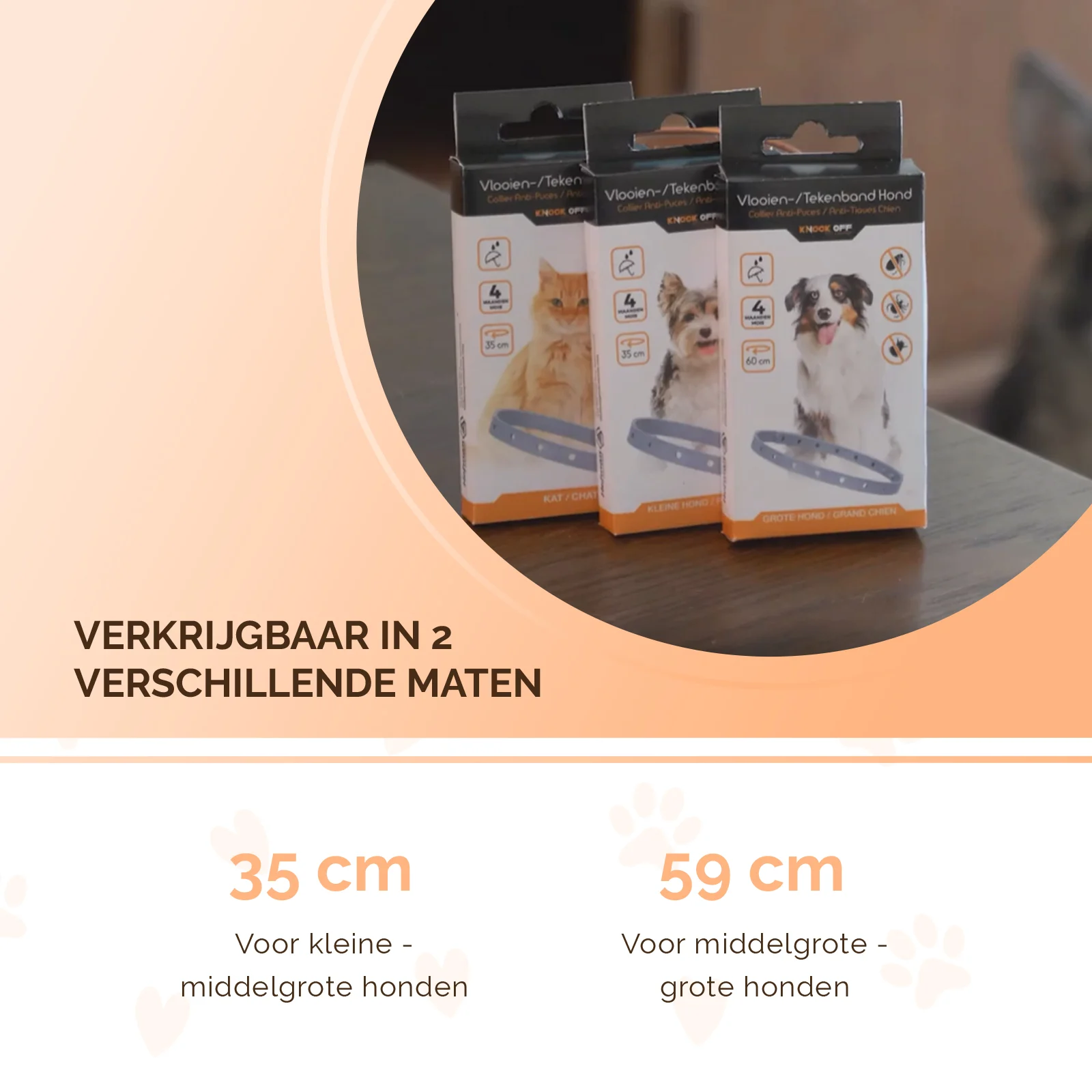 Zeckenhalsband für Hunde gegen Flöhe, 59 cm, Niederländisch und Französisch – Knock Pest – Bild 5