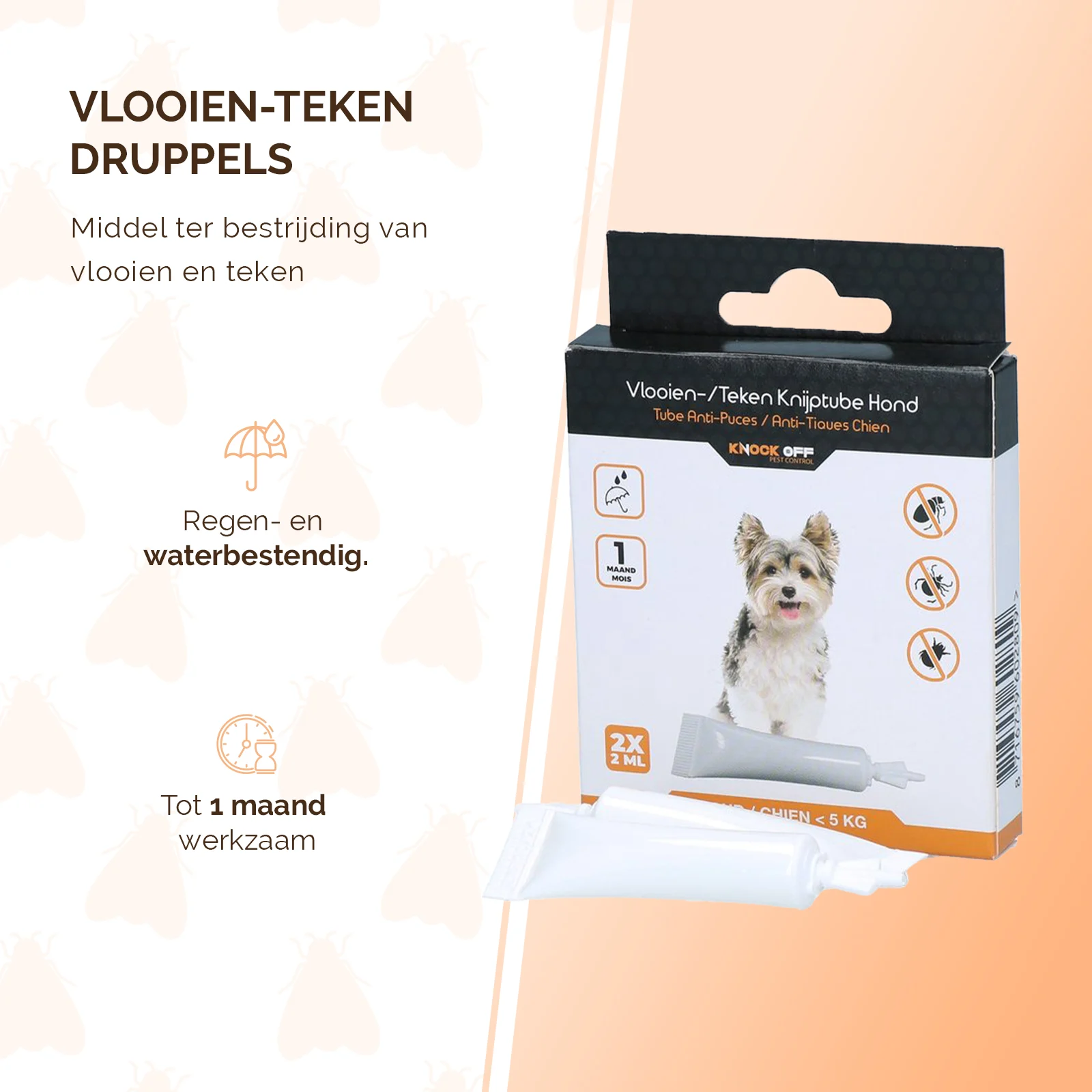 Floh Spot on für Hunde unter 5 kg, gegen Zecken, 2 x 2 ml – Knock Pest – Bild 2