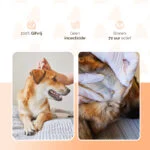 Floh Spot on für Hunde unter 5 kg, gegen Zecken, 2 x 2 ml – Knock Pest – Bild 3