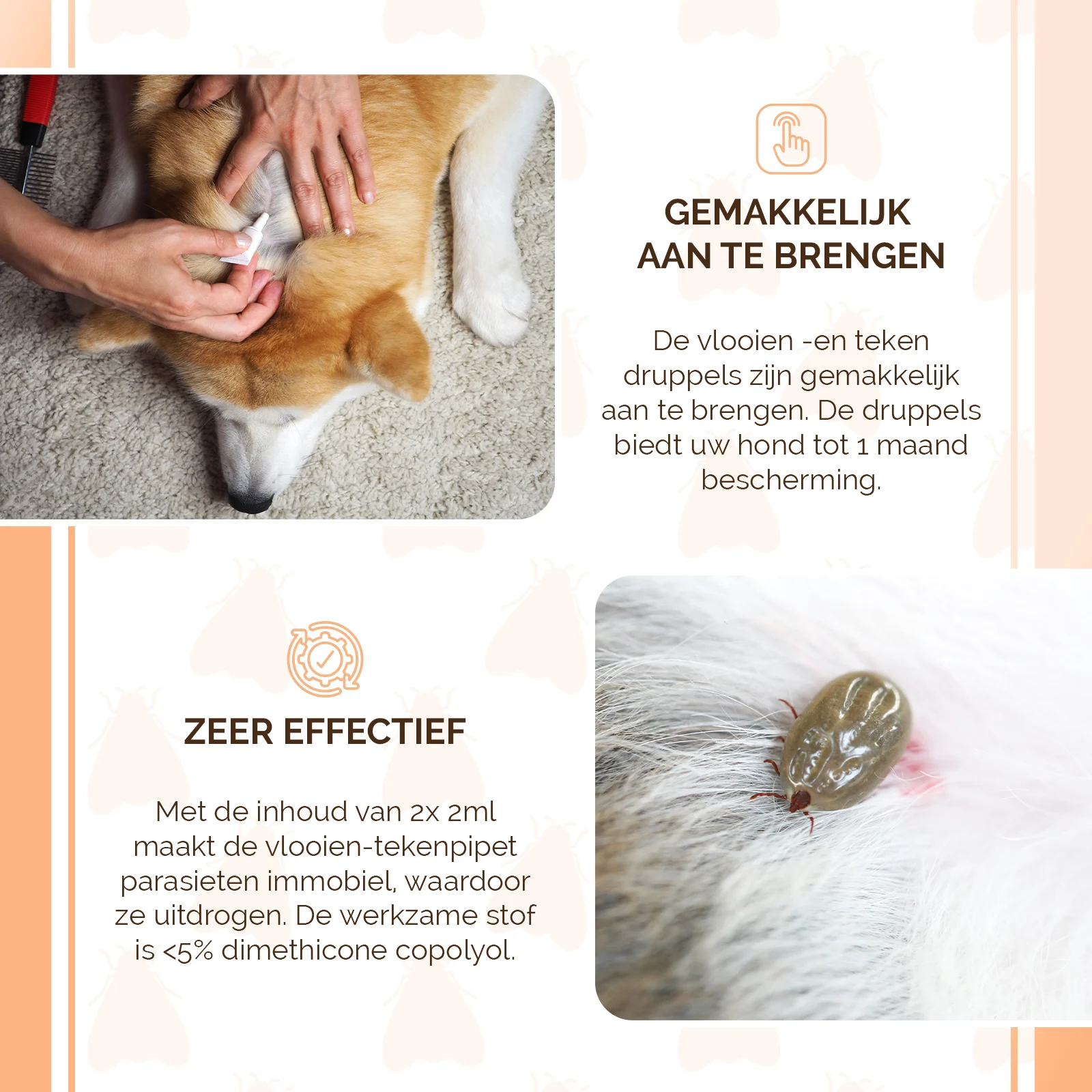 Floh Spot on für Hunde unter 5 kg, gegen Zecken, 2 x 2 ml – Knock Pest – Bild 4