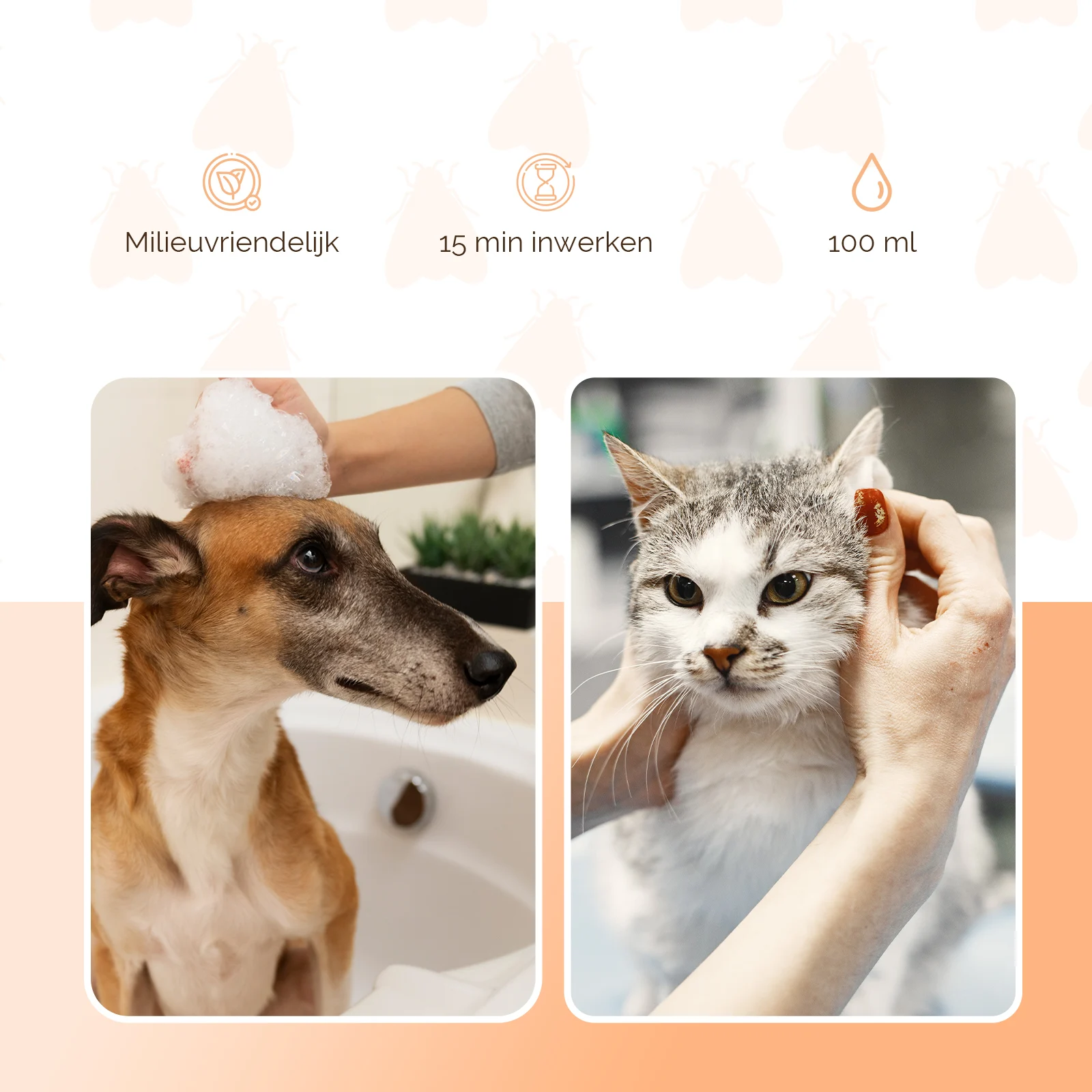 Flohshampoo für Hunde und Katzen, 100 ml – Knock Pest – Bild 3