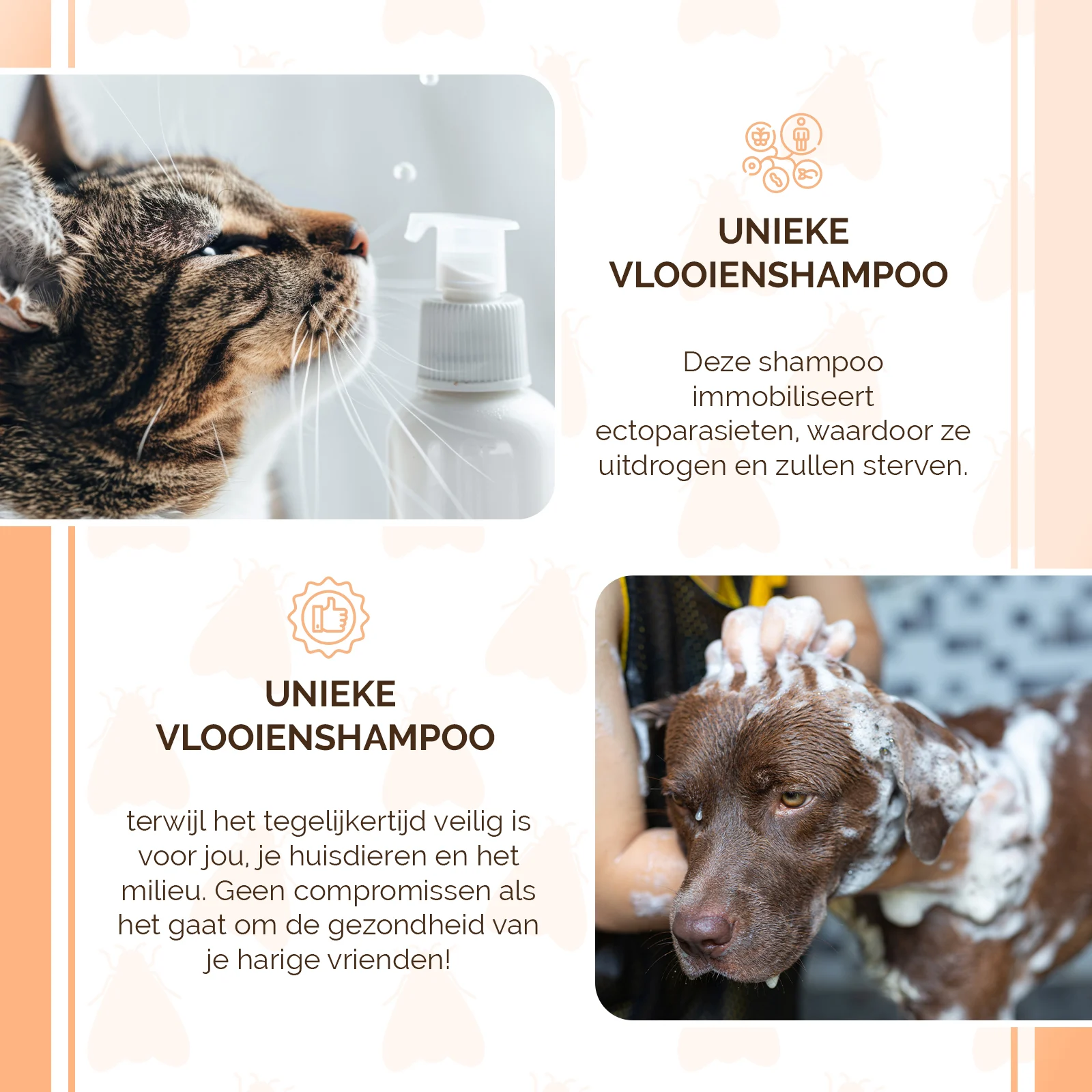 Flohshampoo für Hunde und Katzen, 100 ml – Knock Pest – Bild 4