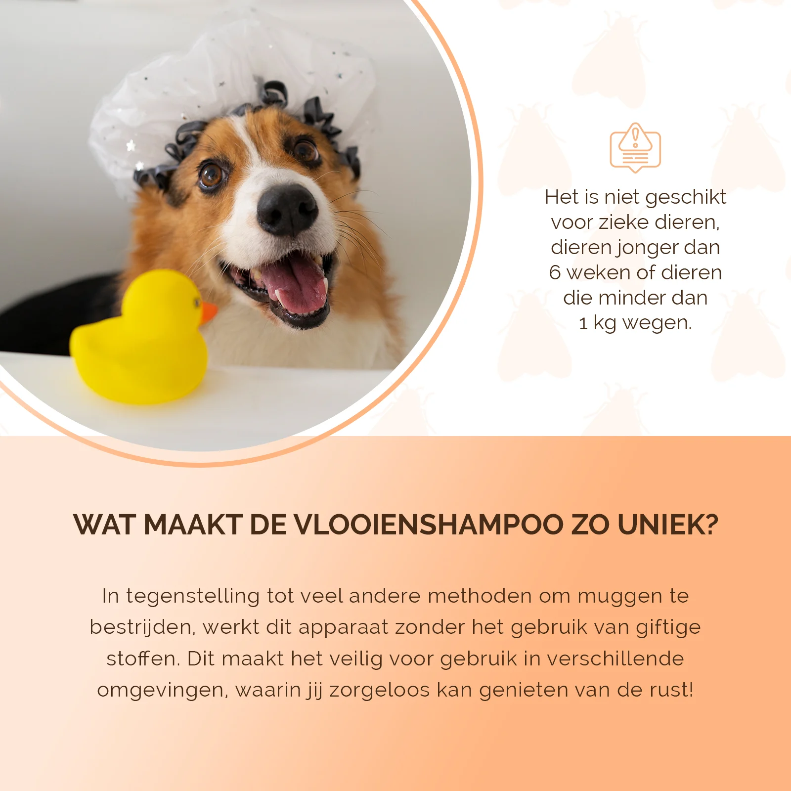 Flohshampoo für Hunde und Katzen, 250 ml – Knock Pest – Bild 5