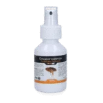 Umgebungsspray gegen Flöhe, Läuse und Zecken, 100 ml – Knock Pest Umgebungsspray