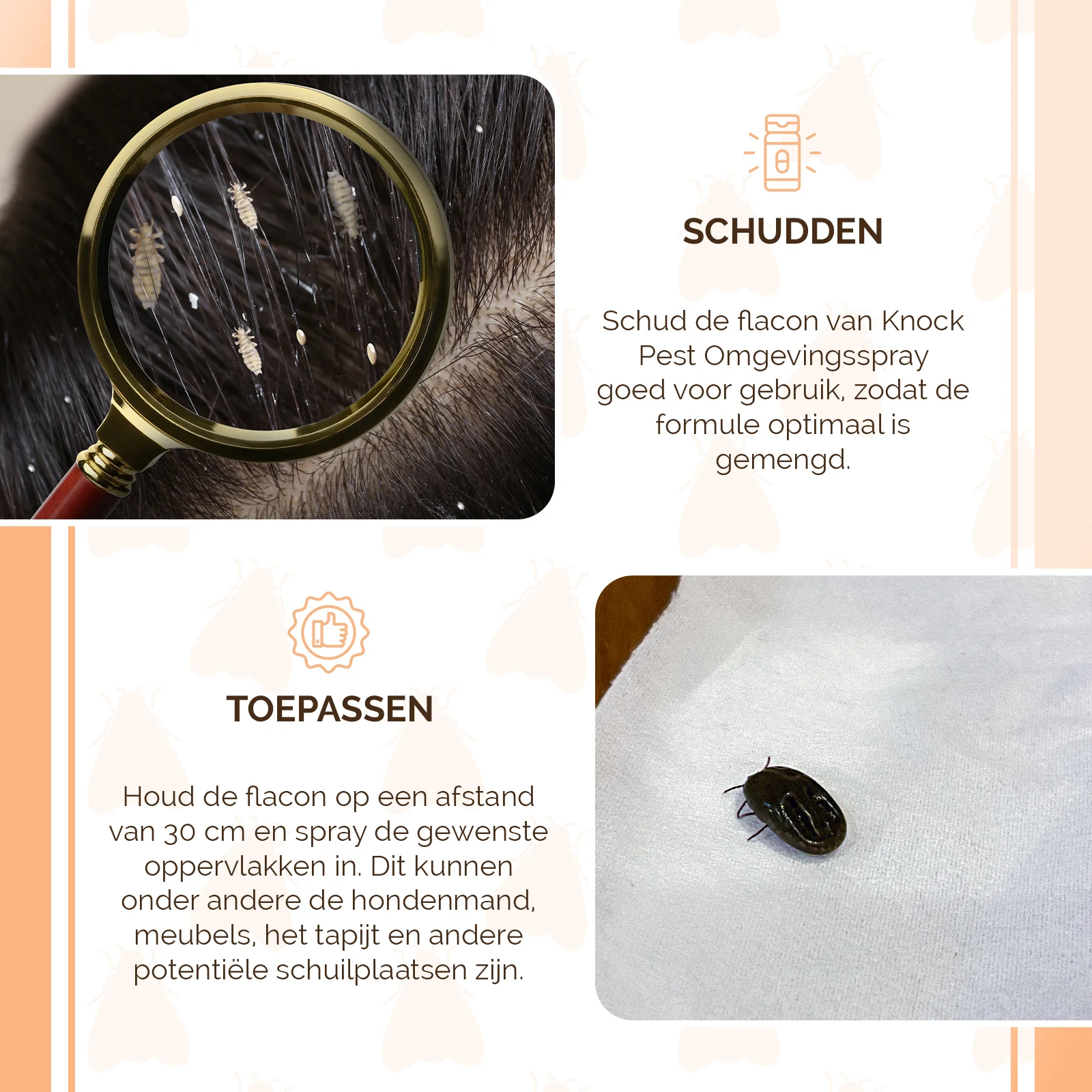 Umgebungsspray gegen Flöhe, Läuse und Zecken, 100 ml – Knock Pest Umgebungsspray – Bild 4