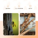 Insekten Gefrierspray mit zwei Sprühmodi – Knock Pest Freeze It – Bild 3