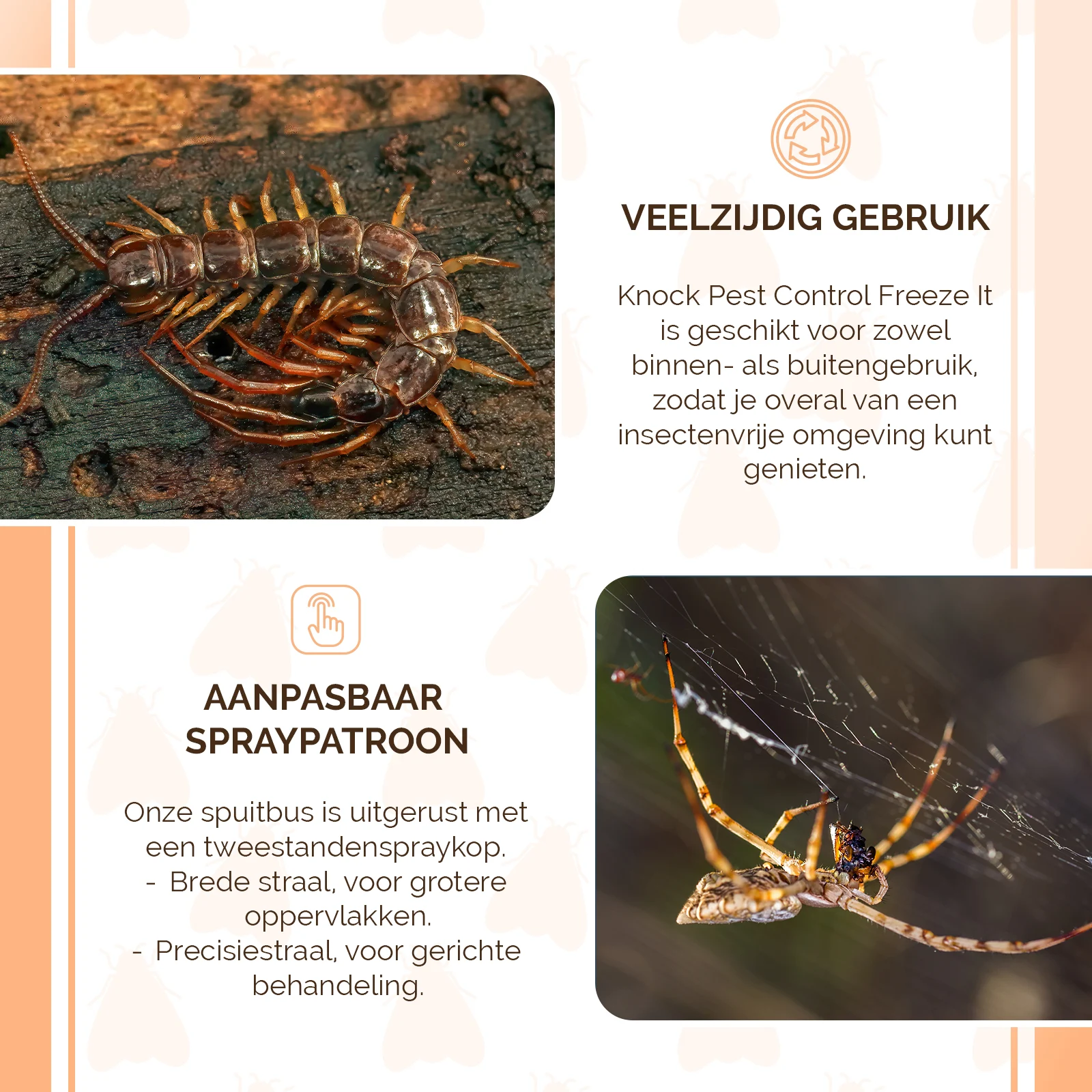 Insekten Gefrierspray mit zwei Sprühmodi – Knock Pest Freeze It – Bild 4