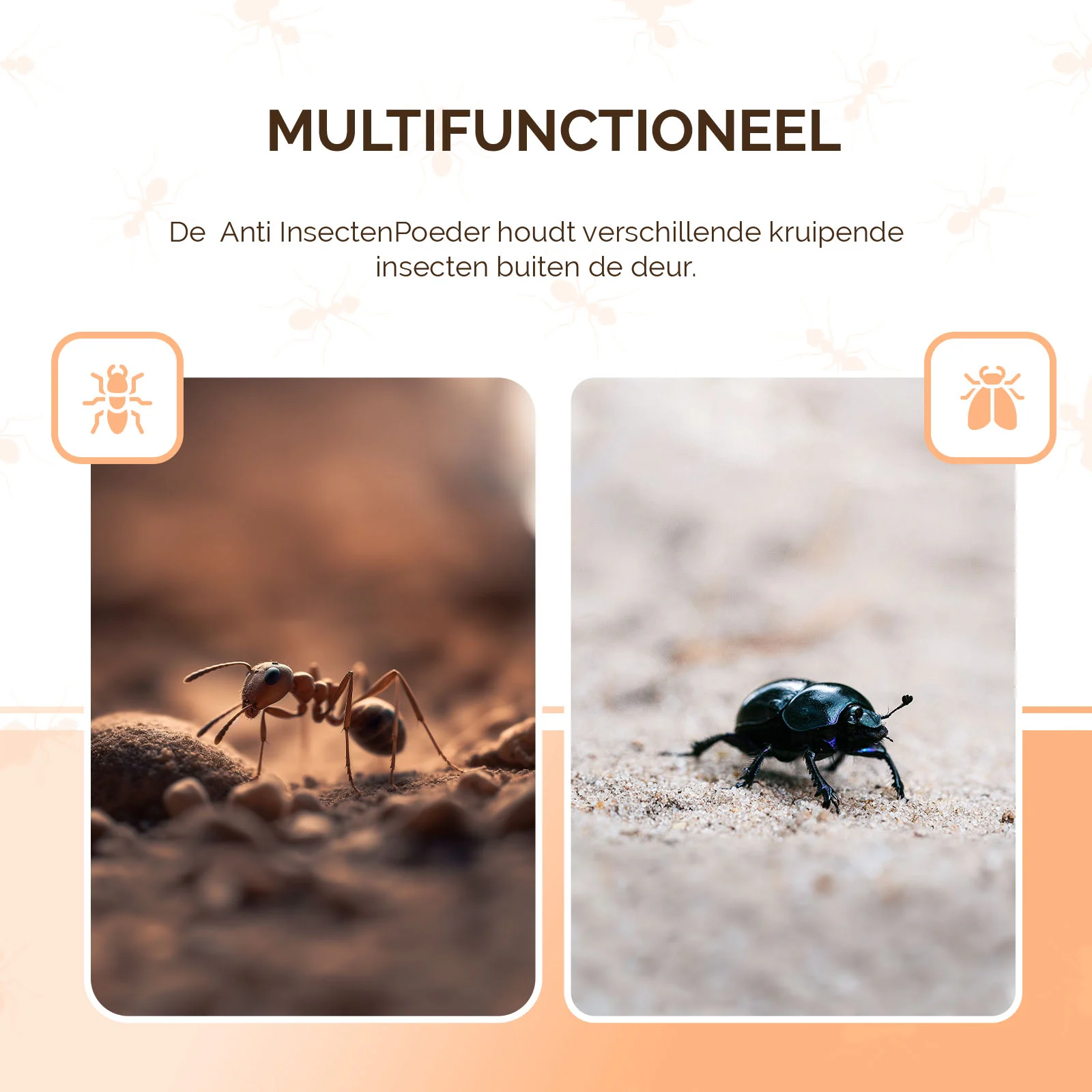 Ameisenpulver für den Außenbereich und gegen krabbelnde Insekten in Innenräumen, 250 g – Knock Pest – Bild 5
