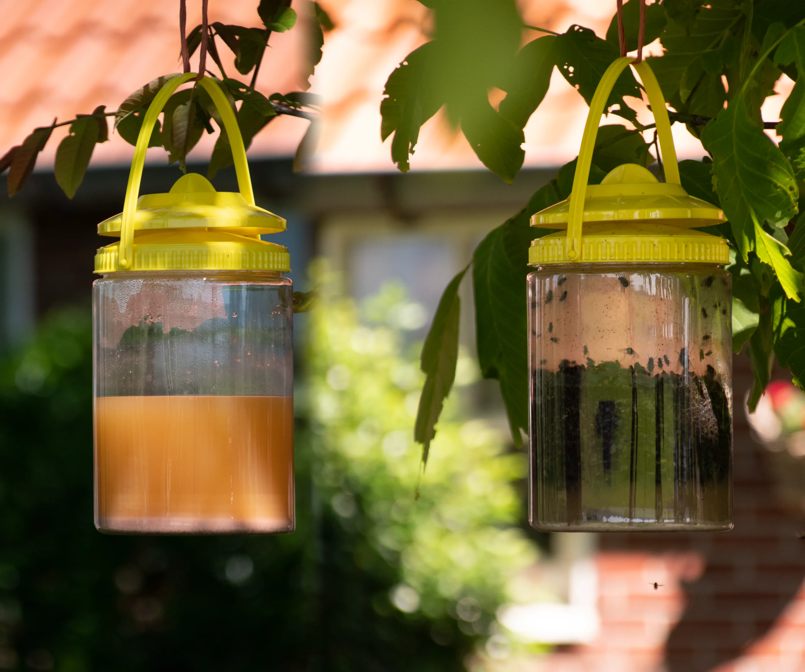 Fliegenfalle mit Lockstoff für den Außenbereich, 2 l – Knock Pest FlyNip – Bild 6