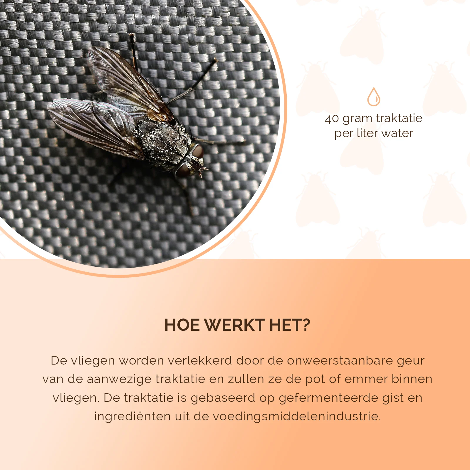 Lockmittel für Fliegenfallen, 240 g – Knock Pest FlyNip – Bild 5