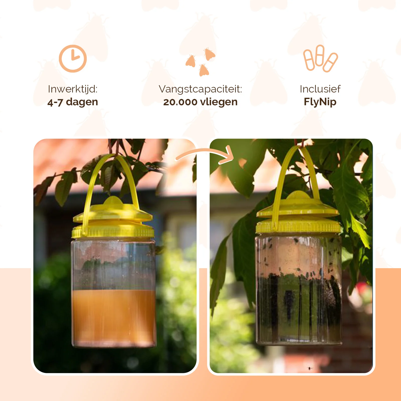 Fliegenfalle mit Lockstoff für den Außenbereich, 2 l – Knock Pest FlyNip – Bild 3