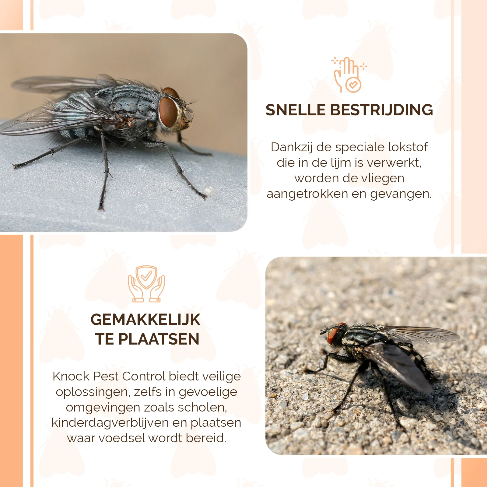 Fensterfliegenfalle, transparent, 4 Stück – Knock Pest – Bild 3