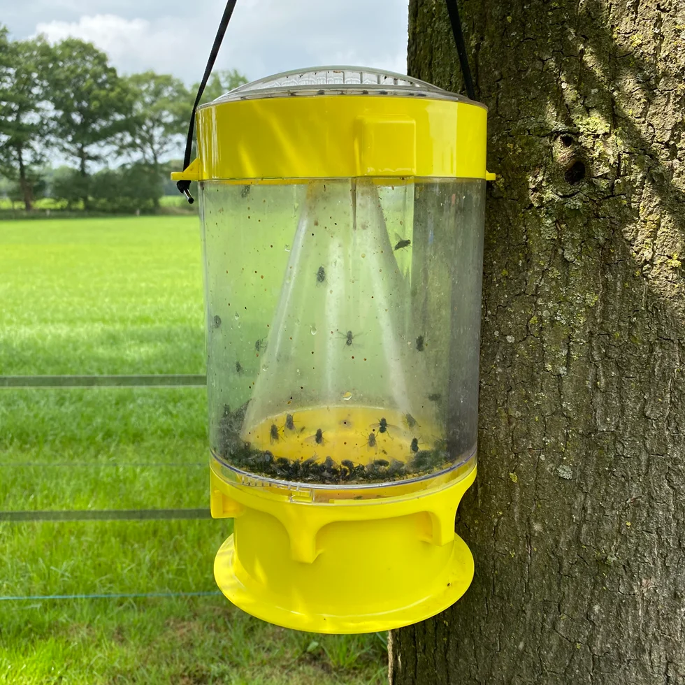 Fliegenfalle mit FlyNip Lockmittel für den Außenbereich – Knock Pest XL – Bild 2