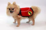 Hundejacke gegen Zecken und Flöhe mit Reflektor, XS 35 cm Rückenlänge – Dog Armor Knockdown Coat (Insect Shield) – Bild 2
