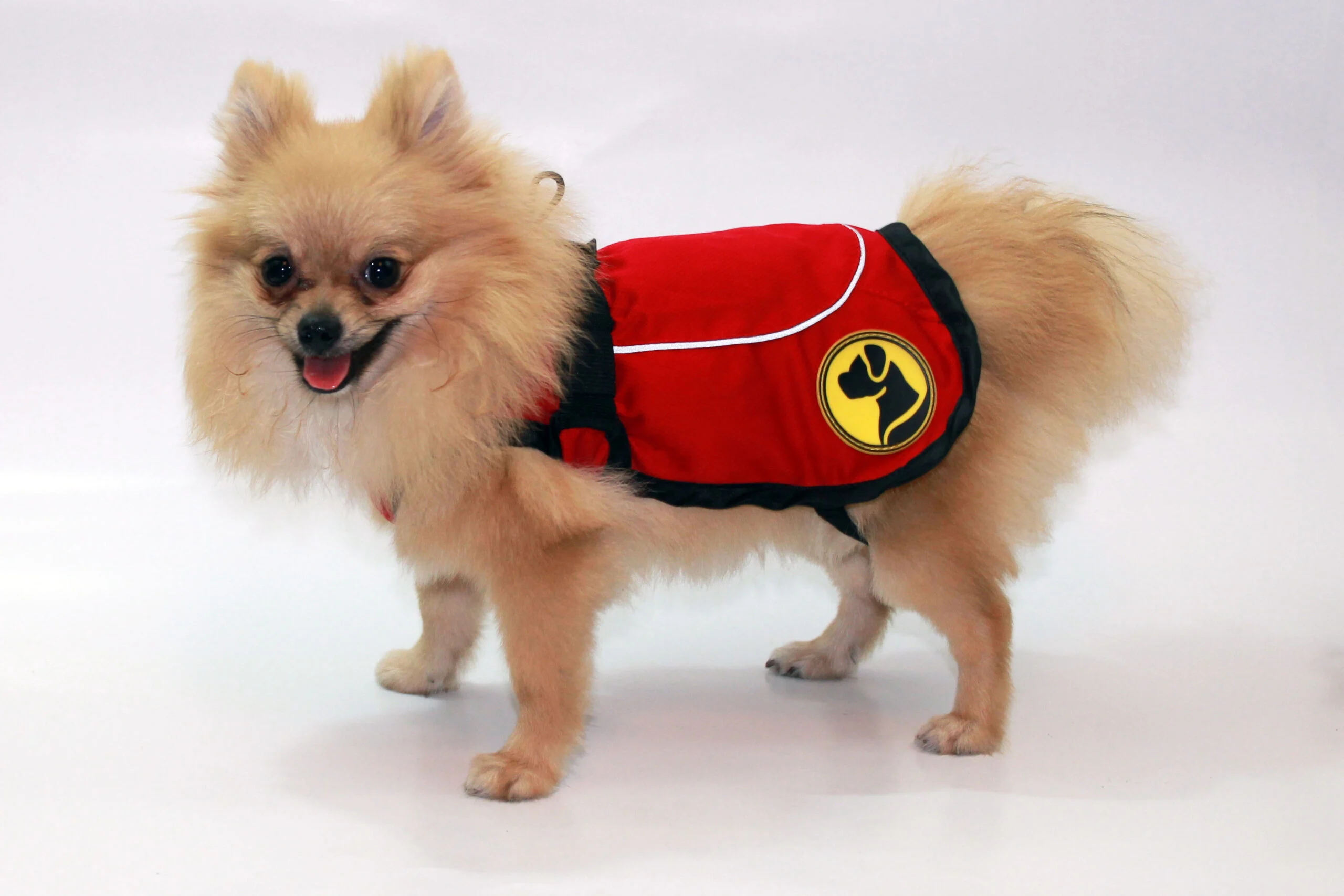 Hundejacke gegen Zecken und Flöhe mit Reflektor, XS 35 cm Rückenlänge – Dog Armor Knockdown Coat (Insect Shield) – Bild 2