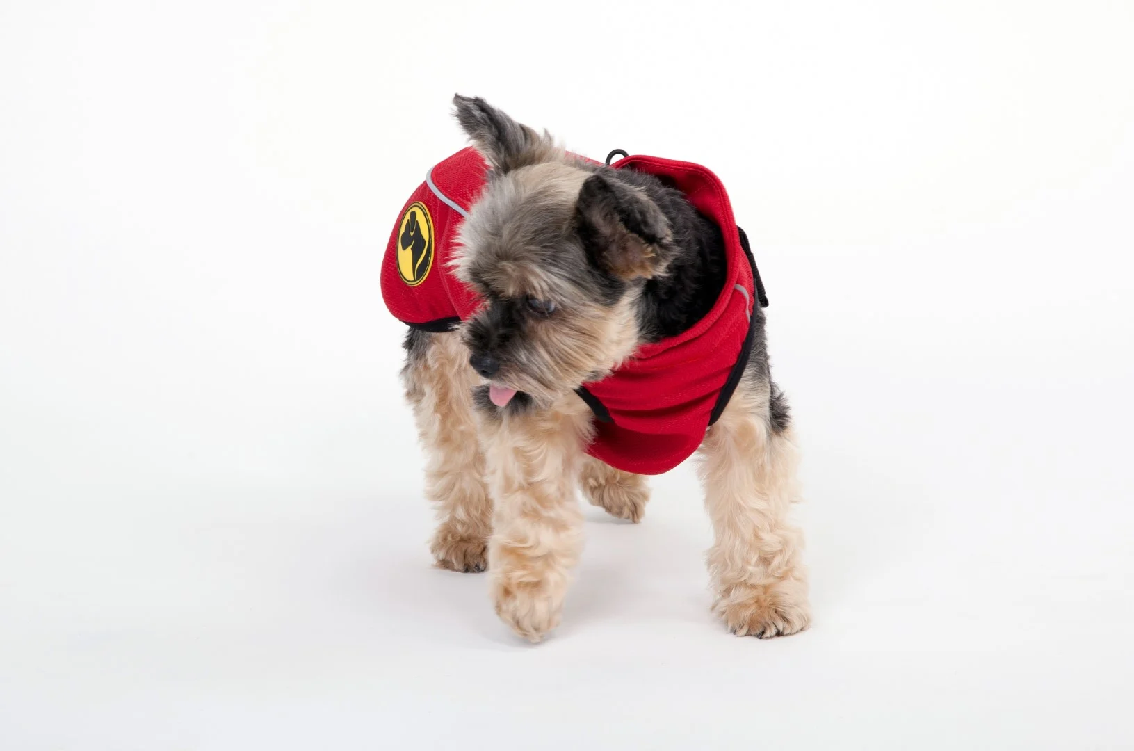 Hundemantel gegen Zecken und Flöhe mit Reflektor, XXXXS 20 cm Rückenlänge – Dog Armor Knockdown Coat (Insect Shield) – Bild 6