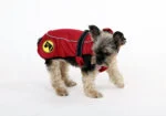 Hundemantel gegen Zecken und Flöhe mit Reflektor, XXXXS 20 cm Rückenlänge – Dog Armor Knockdown Coat (Insect Shield)