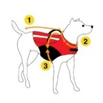 Hundemantel gegen Zecken und Flöhe mit Reflektor, XXXXS 20 cm Rückenlänge – Dog Armor Knockdown Coat (Insect Shield) – Bild 4