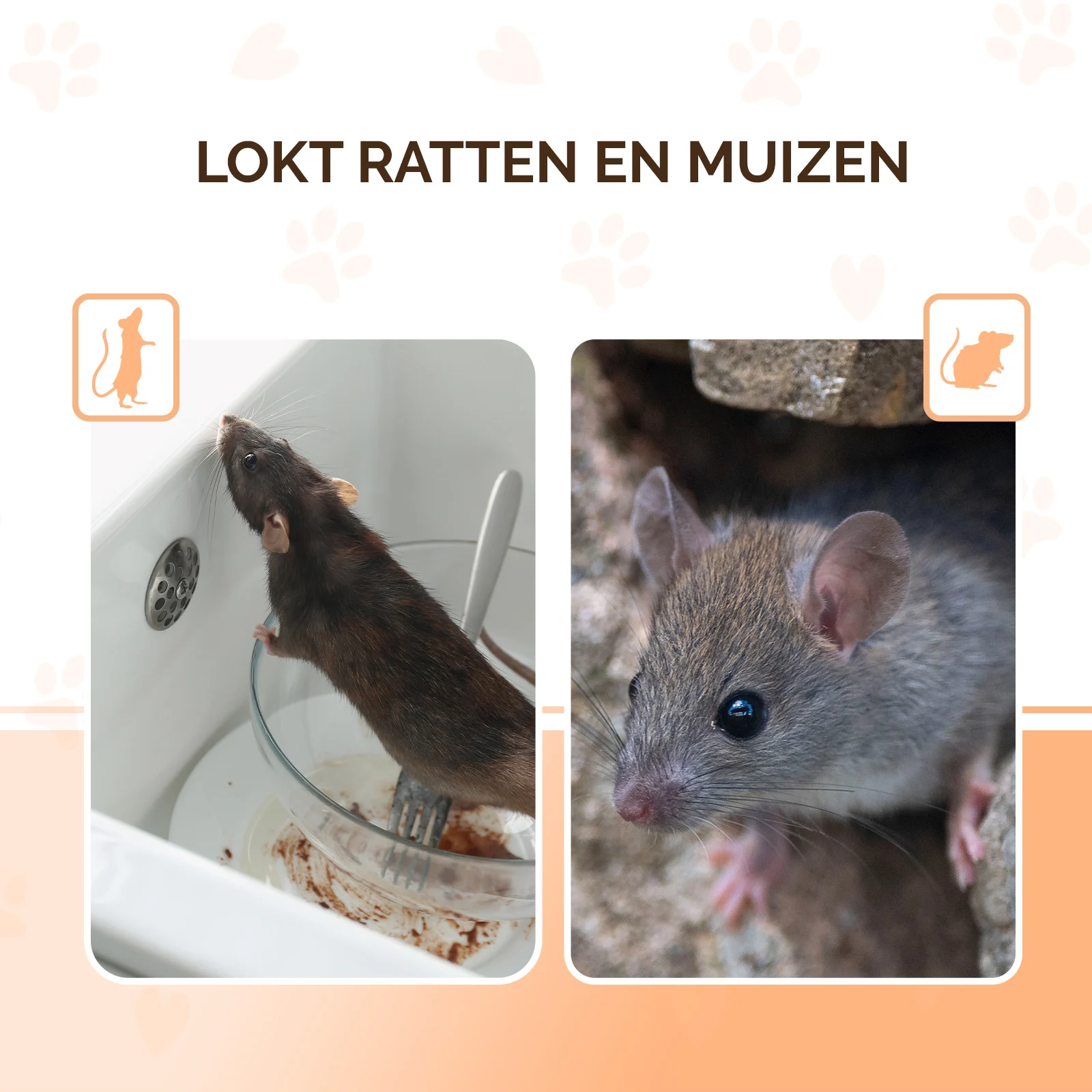 Köderpellets für Mäuse und Ratten, 50 g – Knock Pest Traktatie Pellets – Bild 3