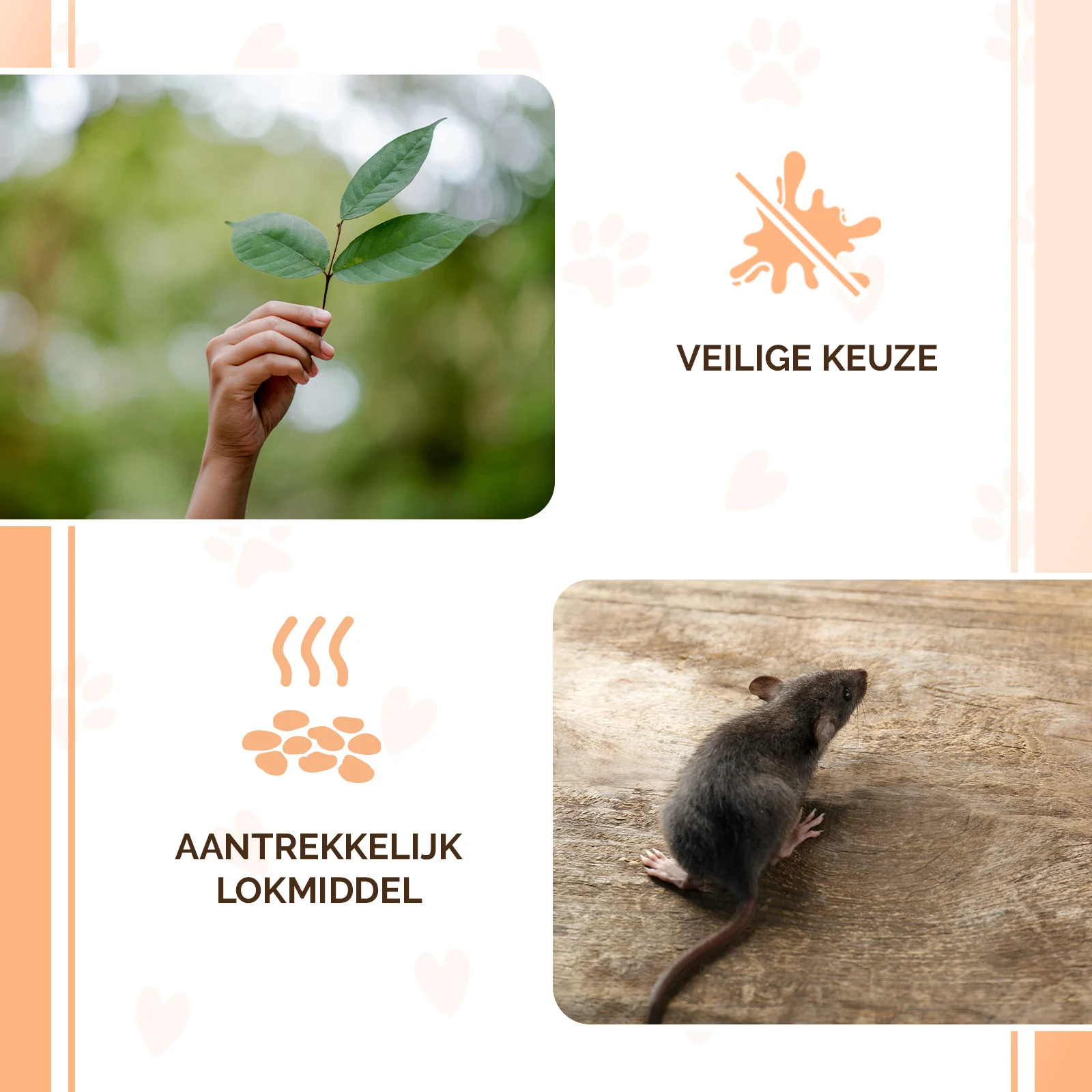 Köderpellets für Mäuse und Ratten, 50 g – Knock Pest Traktatie Pellets – Bild 4