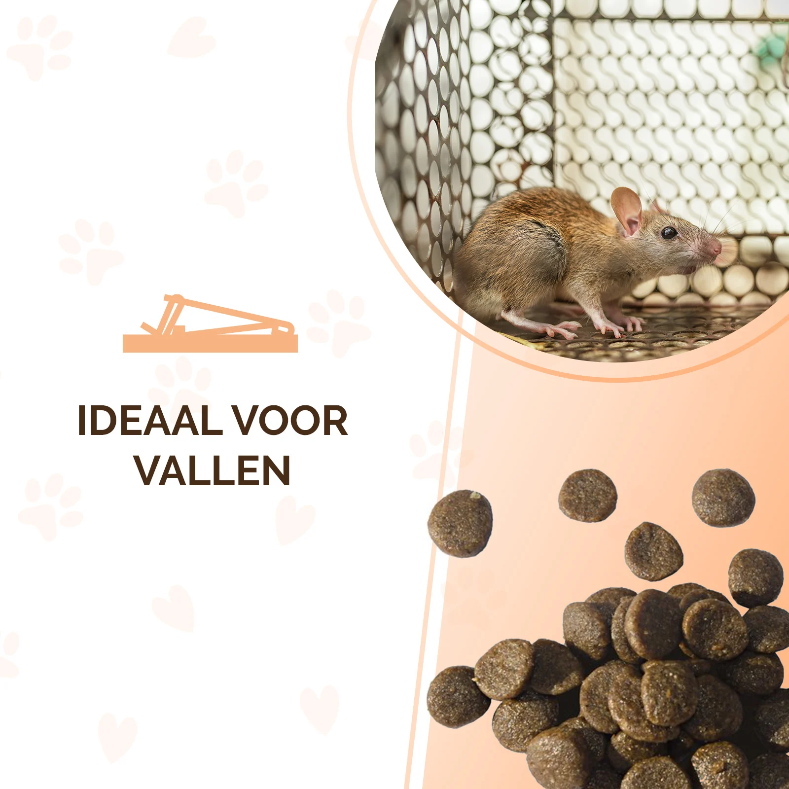Köderpellets für Mäuse und Ratten, 50 g – Knock Pest Traktatie Pellets – Bild 5