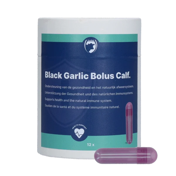 Knoblauchbolus für Kälber mit Ginseng und Zichorie – Excellent Black Garlic Bolus Kalf