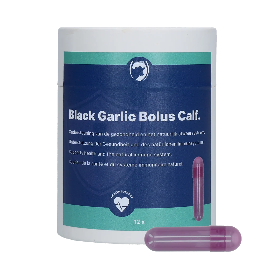 KNOF706.png Knoblauchbolus für Kälber mit Ginseng und Zichorie – Excellent Black Garlic Bolus Kalf – Bild 1