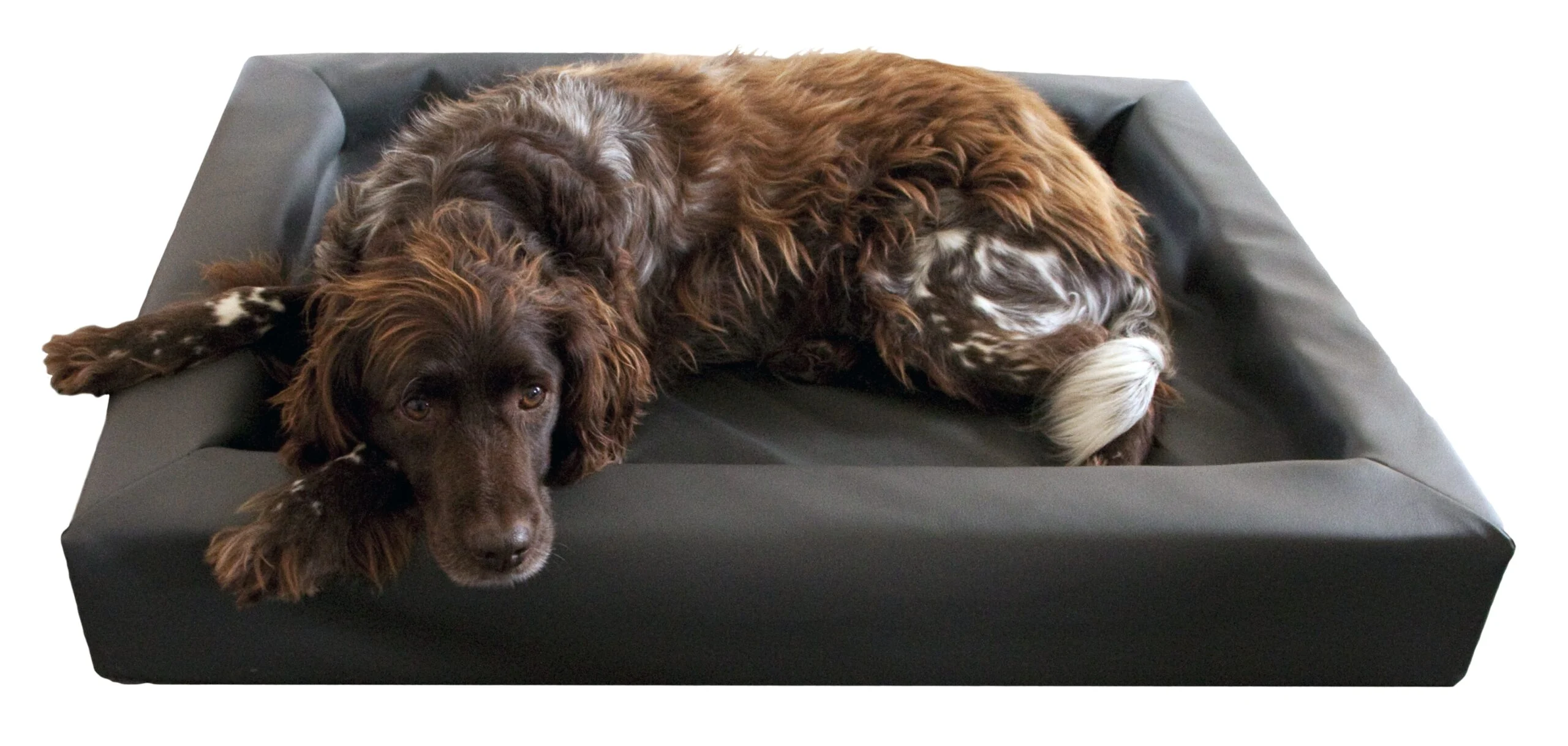 Hundebett Lounge aus Kunstleder mit erhöhtem Rand S, 50 x 60 cm – Bild 2