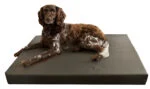 Orthopädisches Hundebett mit 3 cm Memory Foam, 75 x 100 cm – Hofman Animal Care HD Dog Bed M – Bild 2