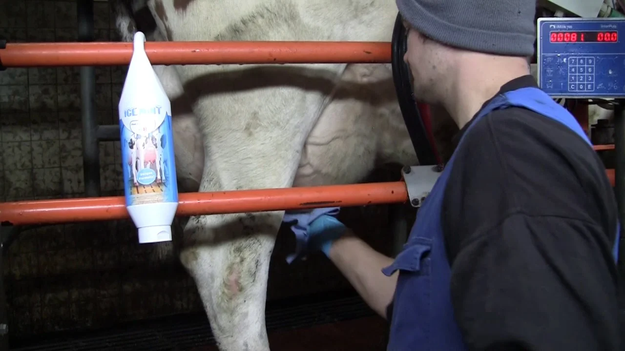 Eutergel mit Pfefferminzöl, 2,5 l und Dosierpumpe – Vet Animal Care Ice Mint – Bild 2