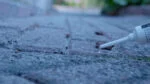 Ameisengel gegen Ameisen und Ameisennester, 5 g – Knock Pest – Bild 3