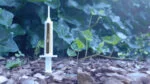 Ameisengel gegen Ameisen und Ameisennester, 5 g – Knock Pest – Bild 5