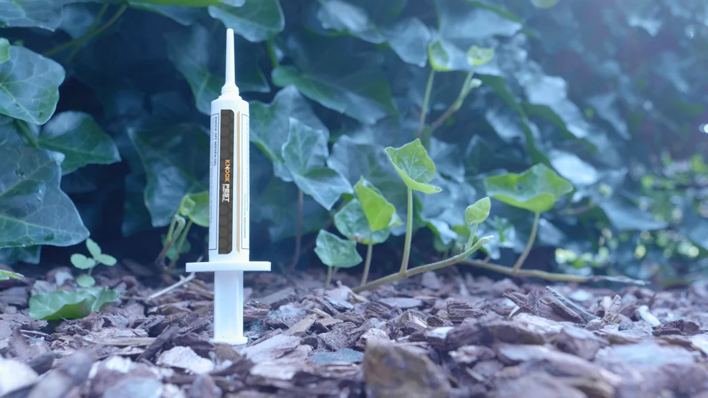 Ameisengel gegen Ameisen und Ameisennester, 5 g – Knock Pest – Bild 5