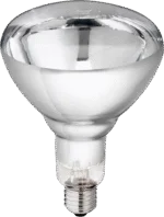 Wärmelampe aus Hartglas für Jungtiere, 150 W, Weiß