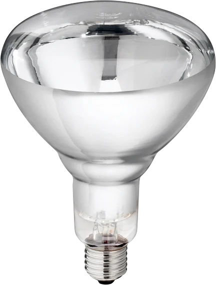 LAMP0004B.png Wärmelampe aus Hartglas für Jungtiere, 150 W, Weiß – Bild 1