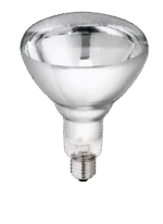 Wärmelampe aus Hartglas für Jungtiere, 250 W, Weiß